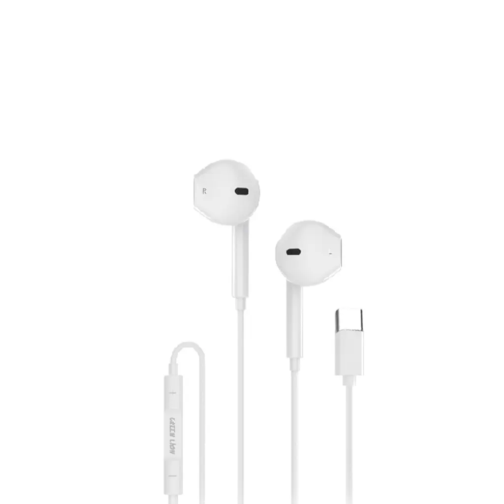 Green Lion Wired Stereo Earphones with Type-C Connector